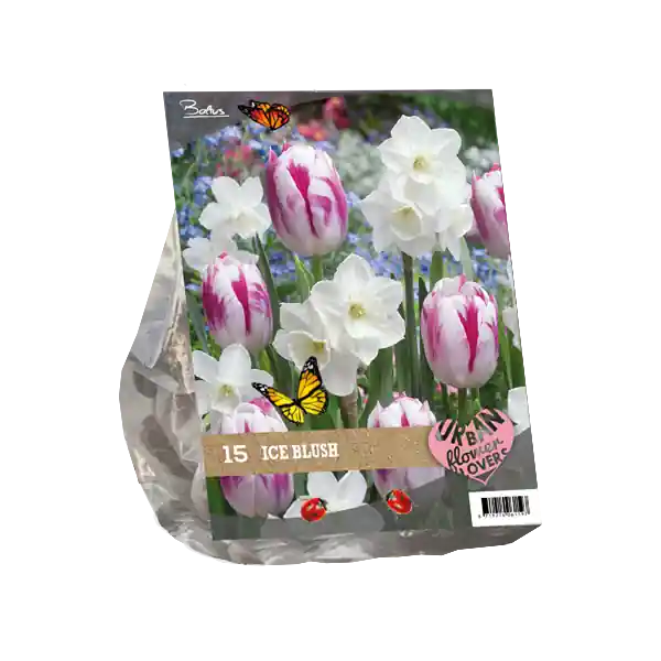 Flitsaanbieding - Urban Flowers - Ice blush per 15
