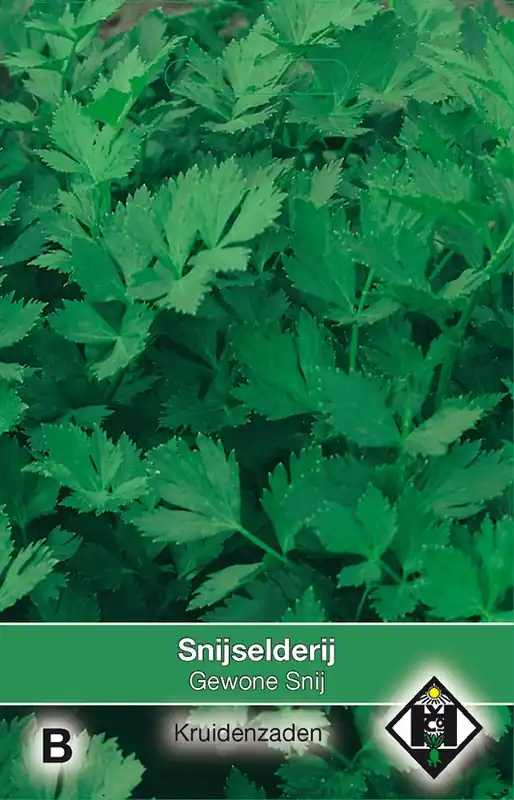 Veel gevraagd - Selderij / Apium Gewone Snij