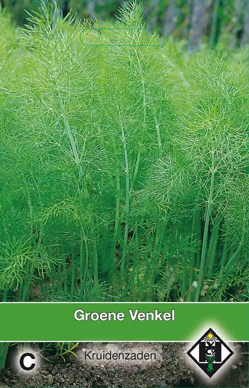 Actie | Groene Venkel / Foeniculum