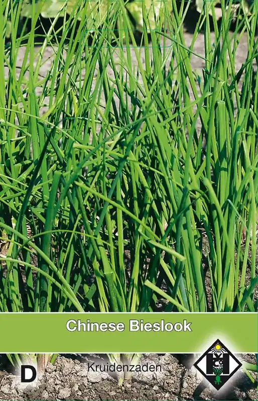 Chinese Bieslook / Allium tub. | Nu beschikbaar