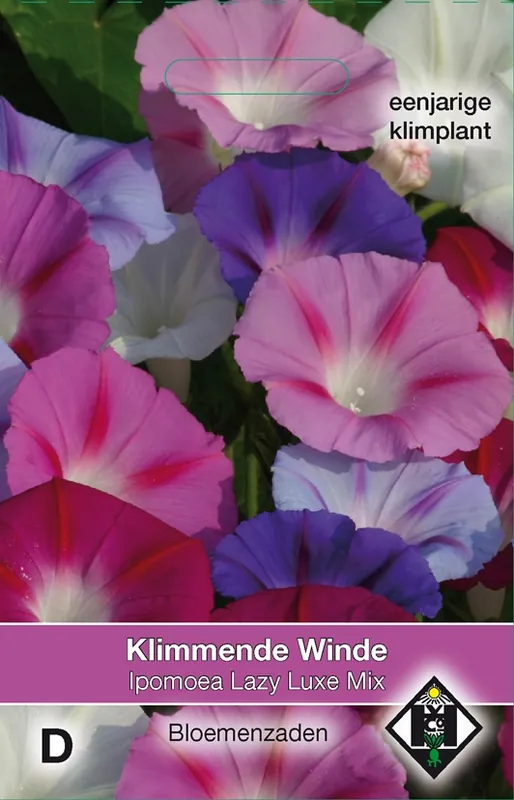 Ipomoea purpurea ‘Lazy Luxe Mix‘ - klimmende winde | Bestseller