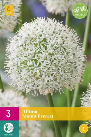 Extra voordeel - Allium Mount Everest