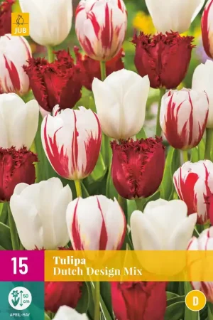 Tulipa Dutch Design Mix - Goed beoordeeld