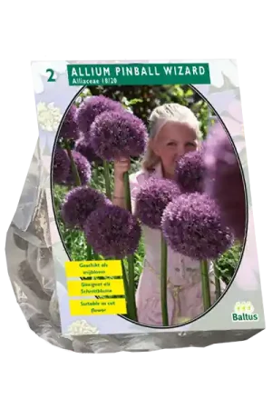 Allium Pinball Wizard per 2 - Extra voordeel