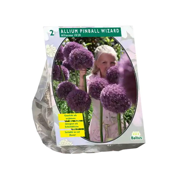 Allium Pinball Wizard per 2 - Extra voordeel