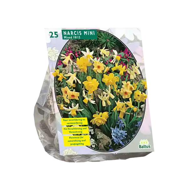 Narcis Mini Mix per 25 - Meest verkocht