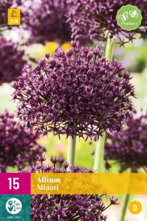 Allium Miami - Laatste kans