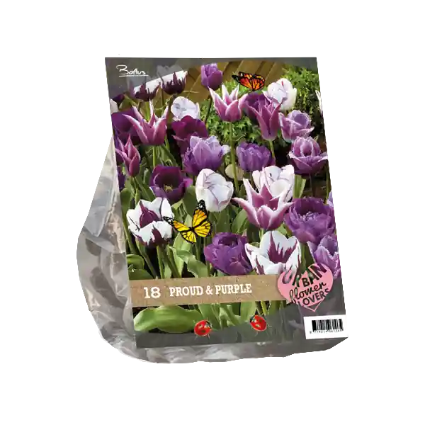 Populair - Urban Flowers - Proud & Purple per 18