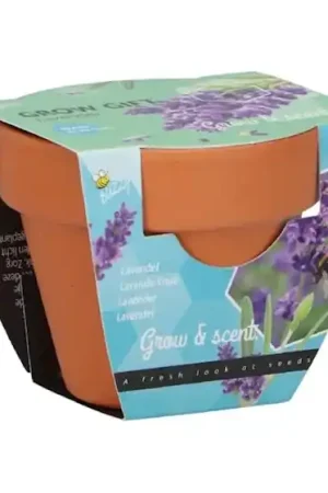 Klantfavoriet | Buzzy® Grow Gift Lavendel