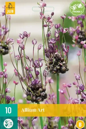 Allium Art - Nieuw in het assortiment