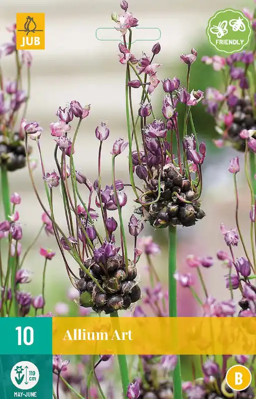 Allium Art - Nieuw in het assortiment