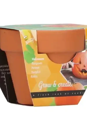 Rechtstreeks van de fabrikant - Buzzy® Grow Gift Pompoen