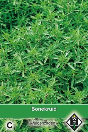 Bonekruid / Satureja - Topprijs