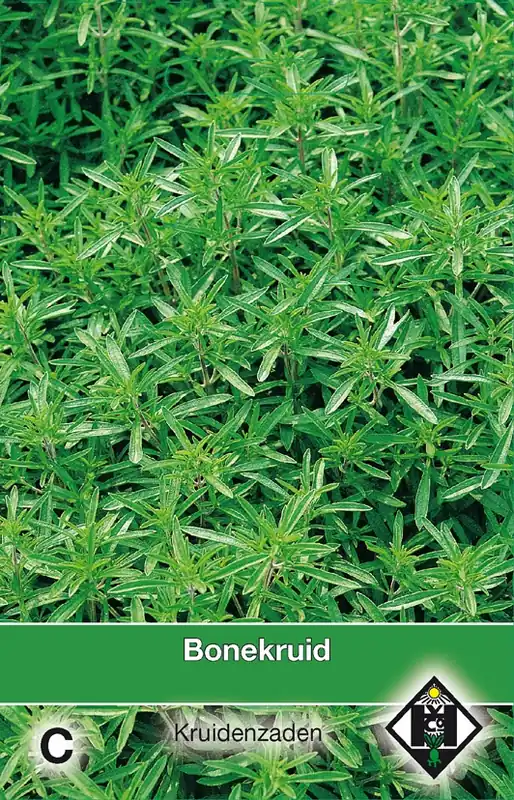 Bonekruid / Satureja - Topprijs