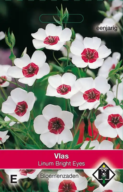 Nieuw in het assortiment - Linum grandiflorum Bright Eyes