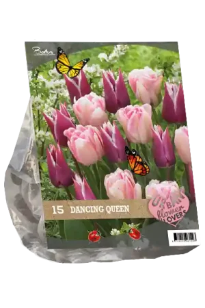 Deal - Urban Flowers - Dancing queen per 15