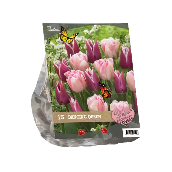 Deal - Urban Flowers - Dancing queen per 15