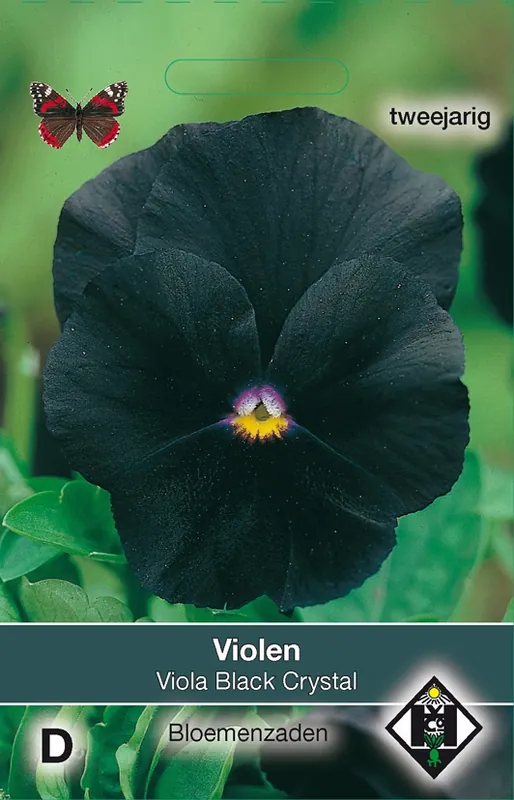 Viola x wittrockiana Black Cristal - Rechtstreeks van de fabrikant