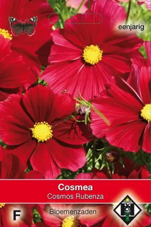 Cosmos bipinnatus ‘Rubenza‘ | Zeer goed beoordeeld