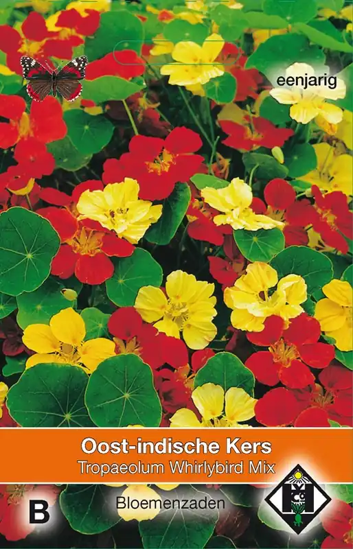 Fabrieksprijs - Tropaeolum m. n. Whirlybird Mix