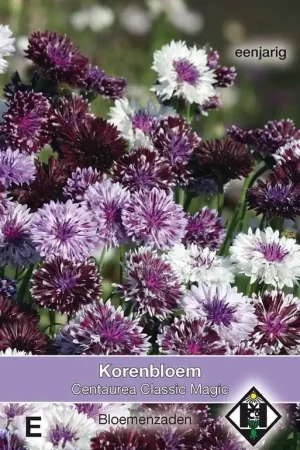 Alleen deze week - Centaurea Classic Magic