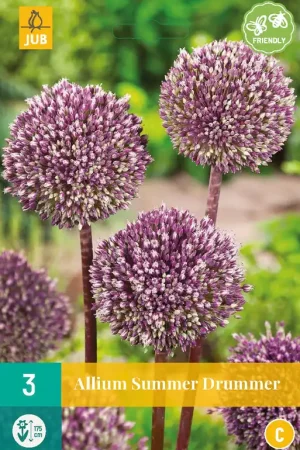 Bespaar meer | Allium Summer Drummer