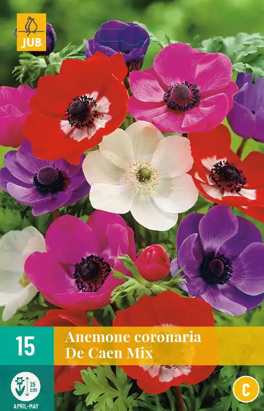 Online bestelbaar - Anemone cor. De Caen Mix