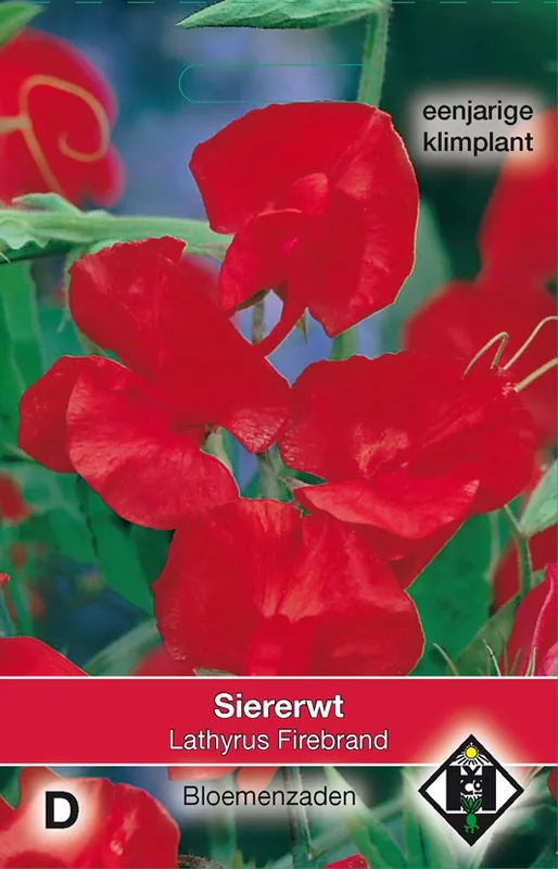 Meest verkocht | Lathyrus odoratus Firebrand