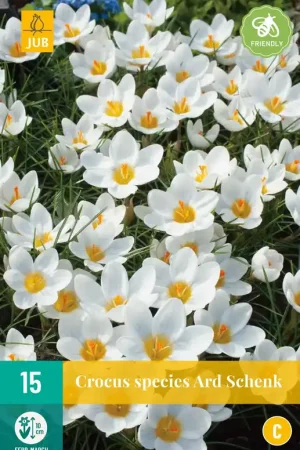Bespaar nu | Crocus Ard Schenk