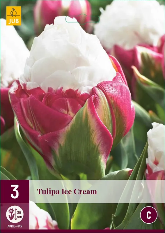 Nieuw in de shop - Tulipa Ice Cream