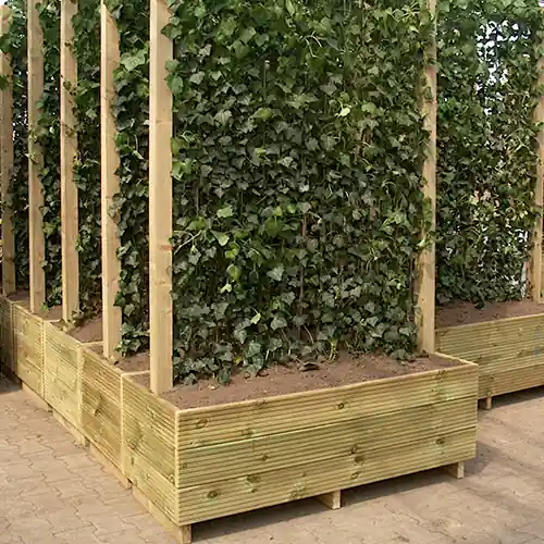 Topproduct | Hoge hardhouten bak met haag 180cm