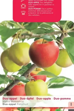 2 Appelsoorten op 1 stam, Patiofruit - Actieprijs
