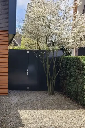 Nu beschikbaar | Meerstammige Krentenboom