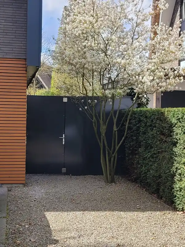 Nu beschikbaar | Meerstammige Krentenboom