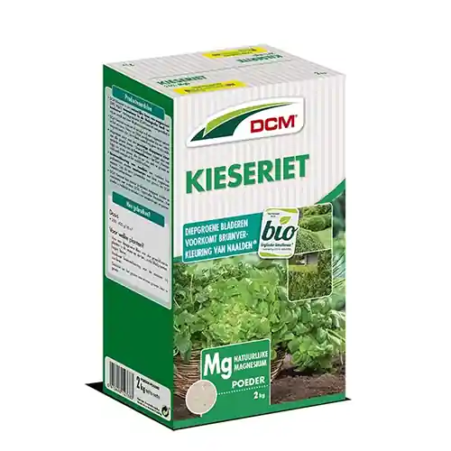 Erg populair | Kieseriet - Bladgroen