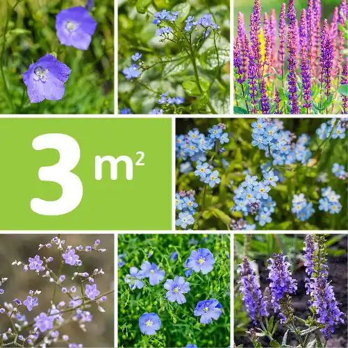 Borderpakket Blauw | Superprijs