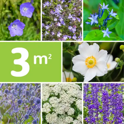 Klantfavoriet | Borderpakket Blauw Paars Wit