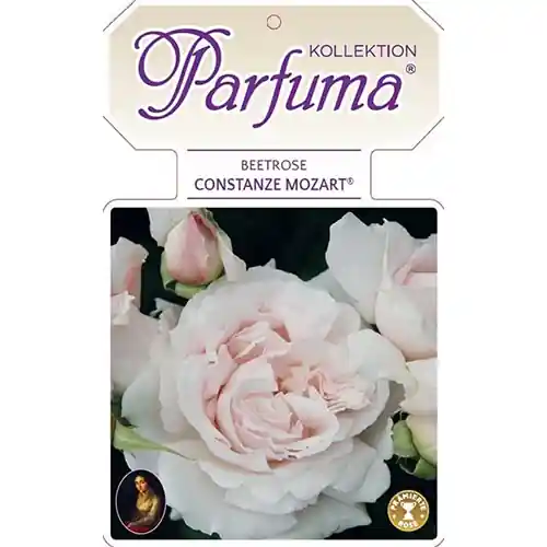 Uitverkoop - Rosa Constanze Mozart
