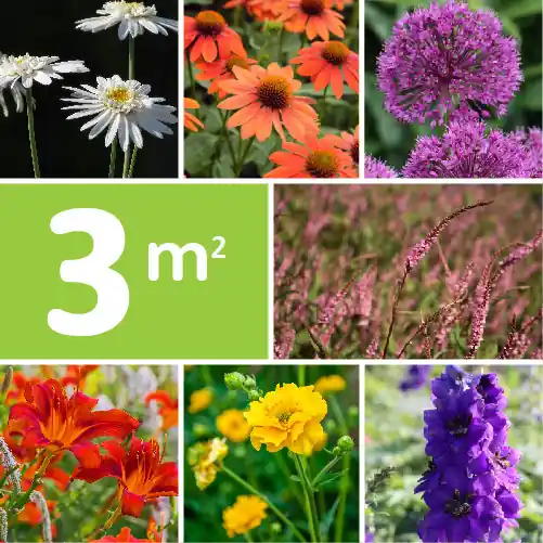 Borderpakket Plukbloemen - Makkelijk bestellen