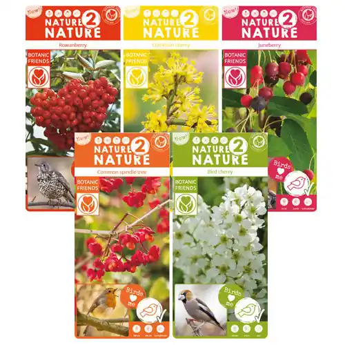 Nieuw in het assortiment - Vogel planten mix