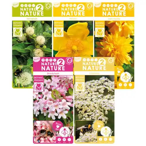 Bijen planten mix - Direct kopen