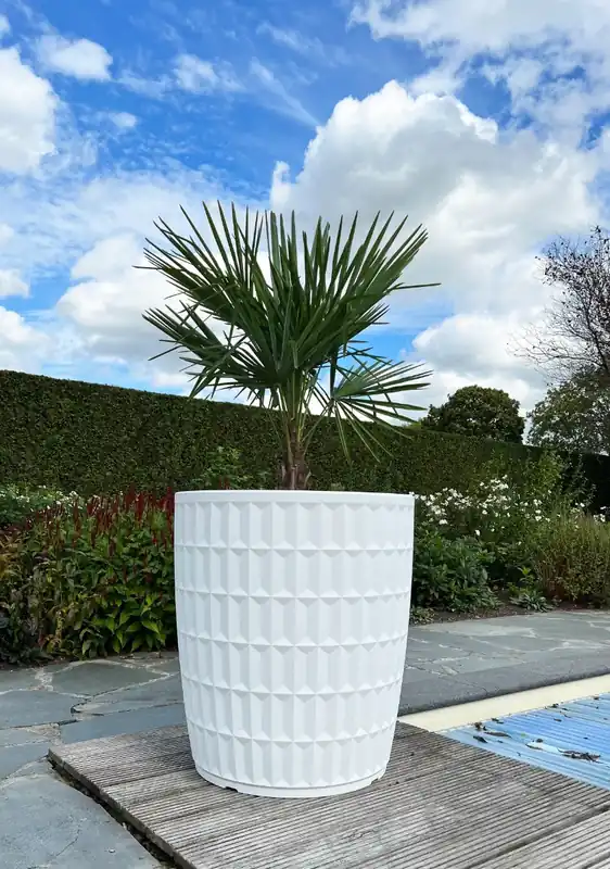 Plantenbak Yentl 80 Wit | Spoedlevering