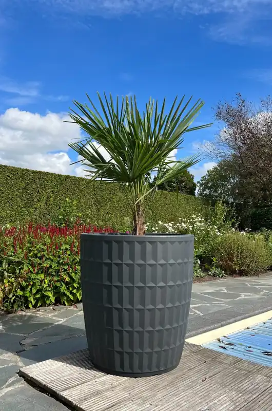 Plantenbak Yentl 80 Antraciet | Voorraad bijna op
