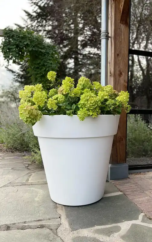 Plantenbak Daan 80 Wit | Dagdeal