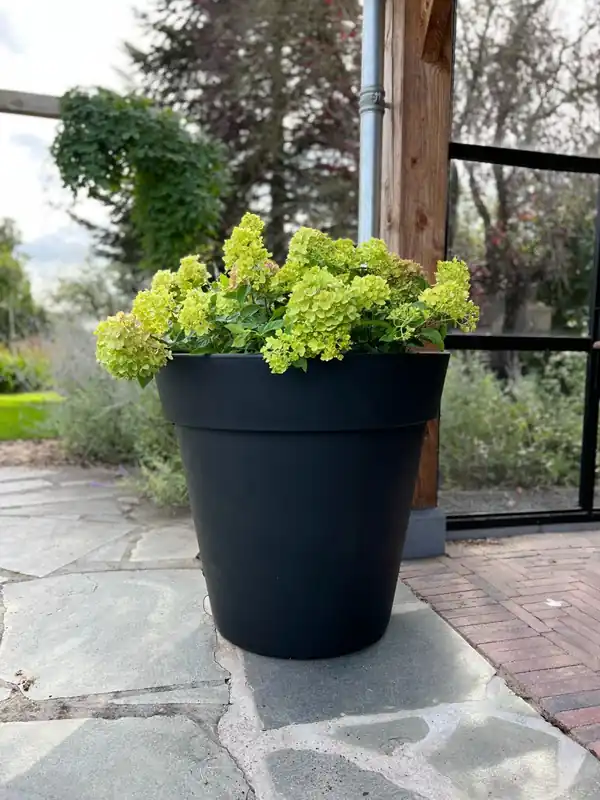 Laatste dagen | Plantenbak Daan 80 Zwart