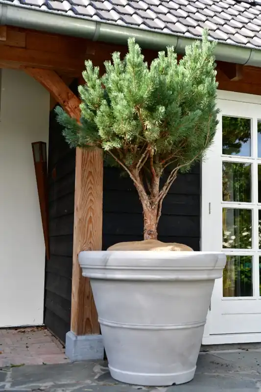 Plantenbak Mirella 100 Greystone | Extra korting