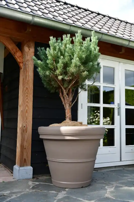 Profiteer nu | Plantenbak Mirella 100 Taupe