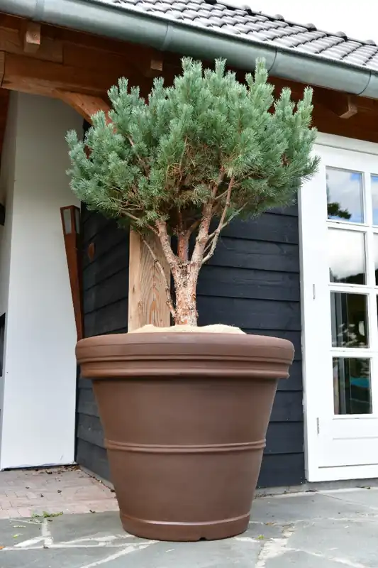 Gratis retourneren - Plantenbak Mirella 100 Brons