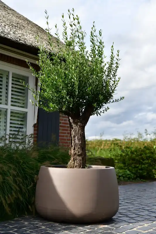 Actie - Plantenbak Koert 95 Taupe
