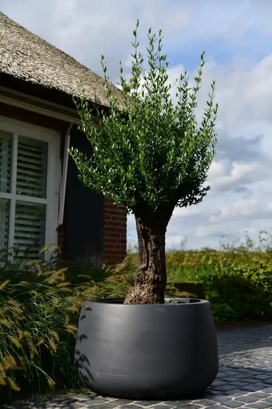 Voorraad bijna op | Plantenbak Koert 95 Antraciet